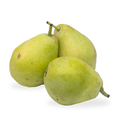 Pera Ercolina eco