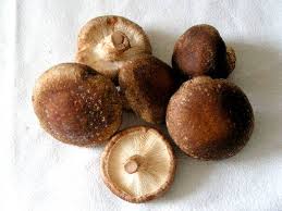 Safata de Shiitake (150 gr)