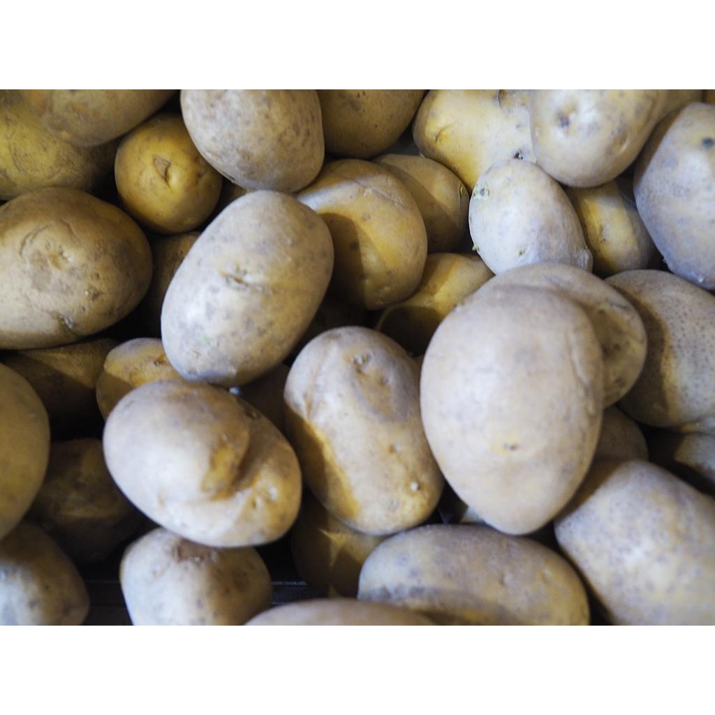 Patata blanca bufet